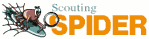 Scouting Spider